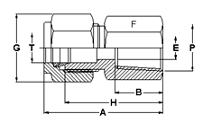 Female Connector