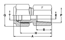 Female Connector