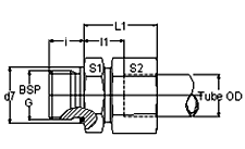 Flareless Tube Male Connector With Elastomeric Seal