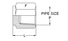 Pipe Fittings Pipe Caps