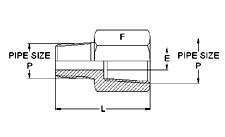 Pipe Fittings Reducing Adapters