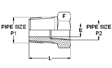 Pipe Fittings Reducing Bushing