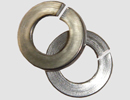 Spring Lock Washers