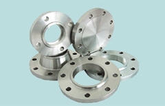 Stainless Steel & Duplex Steel Flanges
